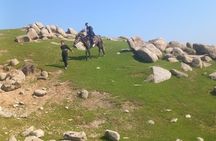 Samarkand Horseback Riding Tour with Pickup and Drop off