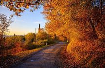 500 Vintage Tour - Chianti wine tour - Small group