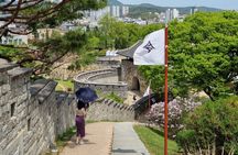 Escape Seoul for a Day: Private UNESCO Fortress Tour in Suwon