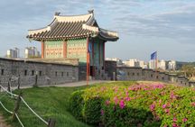 Escape Seoul for a Day: Private UNESCO Fortress Tour in Suwon