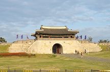 Discover Suwon: UNESCO Fortress & Hidden Gems Private Tour