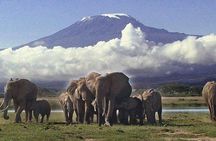 2 Days 1 Night Amboseli National Park Private Safari