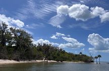 Eco Tour in Crystal River