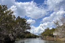 Eco Tour in Crystal River
