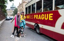 Prague Hop On Hop Off Tour with River Cruise