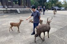 Nara Day Trip from Osaka with Deer Temple and Old Town Walk