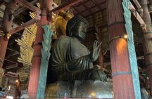 Nara Day Trip from Osaka with Deer Temple and Old Town Walk