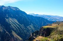 Colca Canyon Tour 1 Day from Arequipa