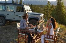 Private GTNP Sunset Wildlife Safari & Field Dinner From Jackson