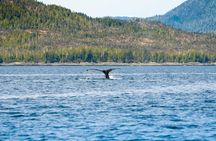 Ketchikans Favorite Cultural and Historical Sites