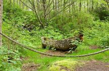 Ketchikans Favorite Cultural and Historical Sites