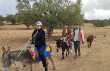 Berber Donkey Ride & Tea in Essaouira