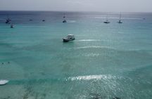 Exclusive Private Catamaran Tour to Saona Island VIP Service