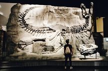 Private Day of Dinosaurs & Hoodoos from Calgary to Badlands
