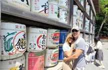 Kamakura Day Trip from Tokyo: Private Guided Walking Tour