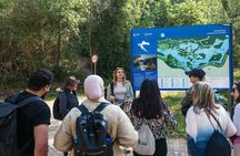 Zadar: Krka Waterfalls and Traditional Etnoland Experience