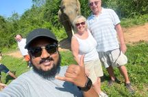 All inclusive Yala Private Leopard Safari: Naturalist & More