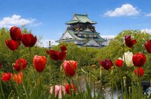Osaka Flavors & Landmarks: Castle, Shinsekai & Food Tasting