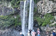 Private Jeju Shore Excursion (Gangjeong Port): Select Guide Level