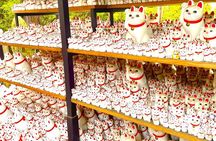 Tokyo Harajuku Cat Cafe & Gotokuji Lucky Cat Temple Tour