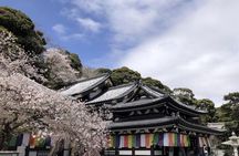 Tokyo Private Day Trip To Kamakura