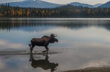Rocky Mountain National Park Guided Hike and Picnic