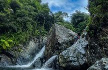 Half Day El Yunque Rainforest and Waterslide with transportation