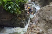Half Day El Yunque Rainforest and Waterslide with transportation