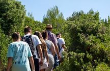 Pirate Boat Tour from Medulin: Blue Cave & Porer with Lunch