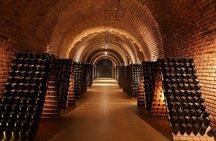 Tour wineries Lujan de Cuyo