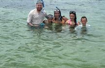 Private Shell Island Dolphin and Snorkeling Tour