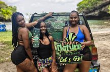 Cliff Jumping, Snorkeling and Waterfall Adventure in Saint Lucia