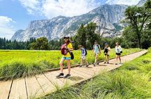 Yosemite Highlights Small Group Tour from Sonora & Groveland
