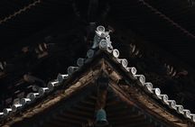 Gion & Higashiyama with a private Tour Guide in German or English