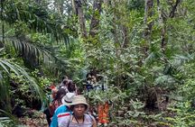 Zanzibar Island: Forest Trails & Turtle Encounters
