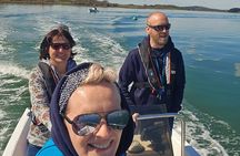 Self Drive Boat Hire around Poole Harbour