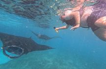 One Day Tour and Activities on Nusa Penida Island