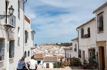 Malaga Walking Tour: Explore Top Sights & Hidden Gems