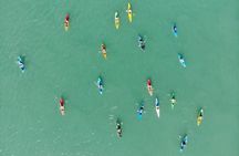 Guided Mangrove Kayak and Beach Tours