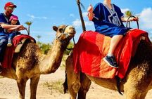 Marrakech:Sunset Agafay Desert:Camel ride and Dinner, Fireshow