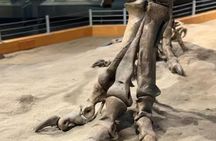 Drumheller & Hoodoos Day Trip from Calgary, Explore the Badlands