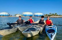 Pensacola Beach Kayak Tour