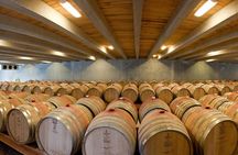 Queenstown Afternoon Wine Tour: Gibbston Valley | NZ Local Guide