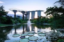 Marina Bay Sands & SkyPark Tour: Luxury, Architecture and Gardens