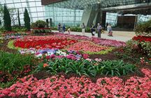 Relaxing Walking Tour at Singapore Gardens by the Bay