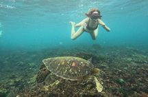 One Day Tour and Activities on Nusa Penida Island