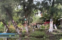 Discover an Oasis of Nature in Xochimilco