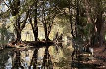 Discover an Oasis of Nature in Xochimilco