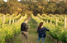 Barossa Valley Small Group Wine Tour Max of 8 Guest with Lunch
