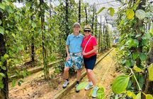 Explore South Phu Quoc Highlights on a Private Tour